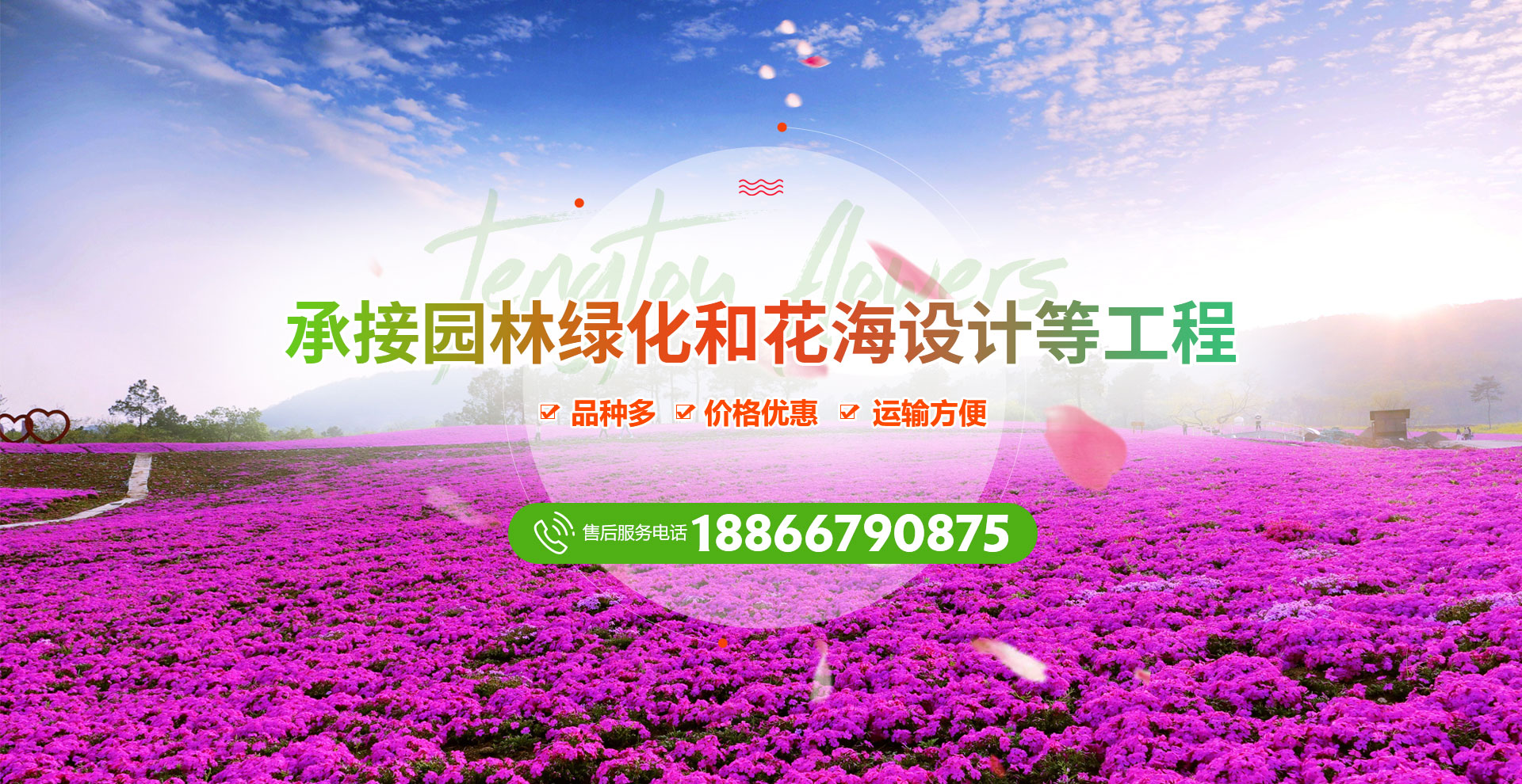 青州市騰頭花卉苗木有限公司banner